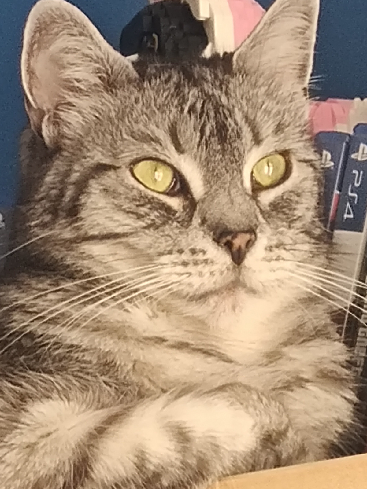 31882f35-8c1f-4a49-b9ed-eb49a99b6b21