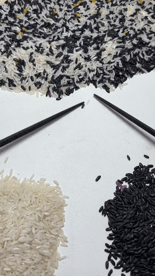 844eb526-7143-447e-bb68-aaf57ed3fd06