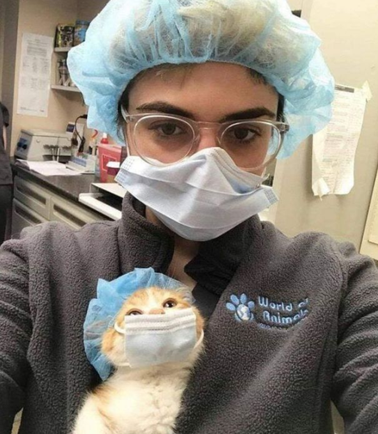 c4b23522-64a2-46da-a0a5-8488bfa9a3eb