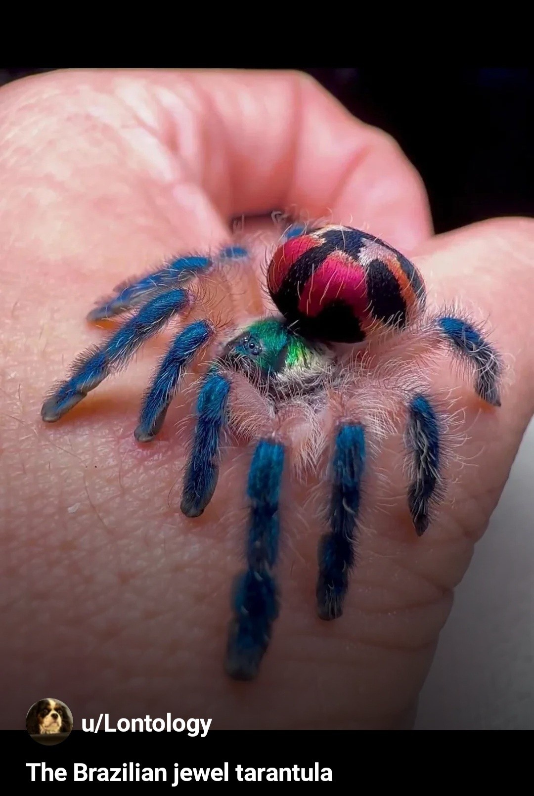 7f6d531b-50c8-4a92-880d-a483ef2acf9b