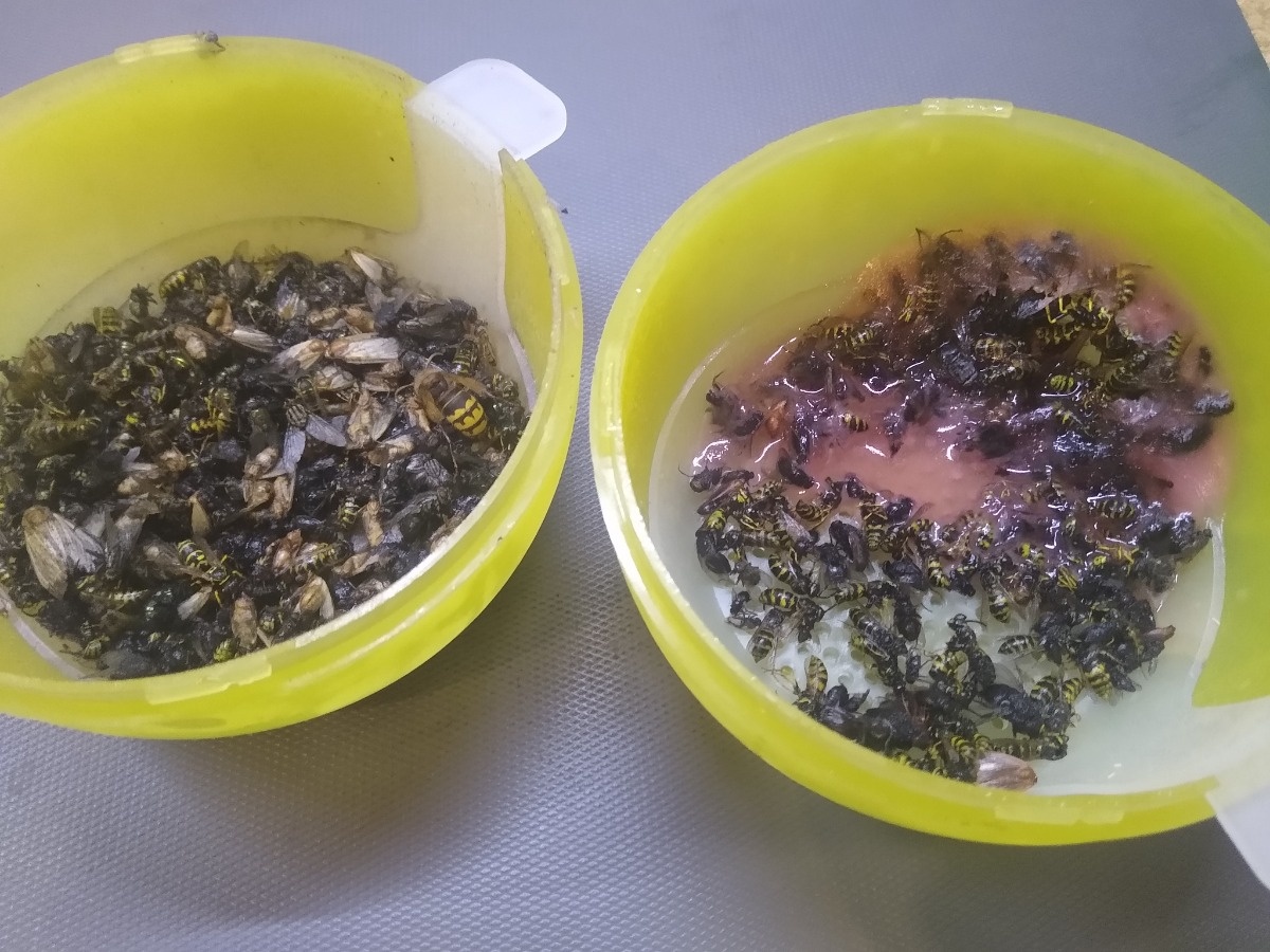 0ba13626-eb8f-4c5a-9f19-45cdfd7f8709