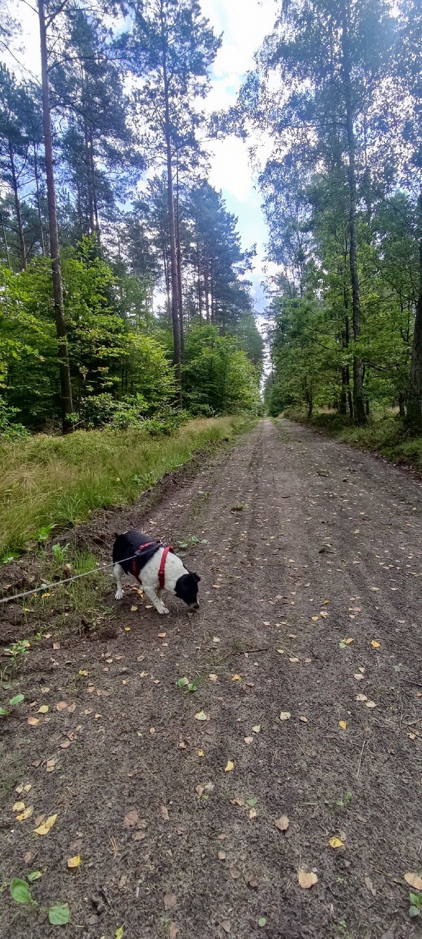 012eeb3d-9690-410e-820d-cf3cbc04535c