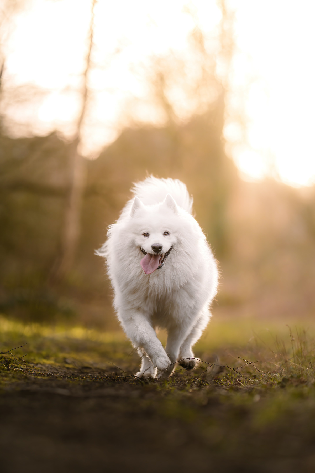 461689e5-4393-4acb-8c36-9936965cd20b