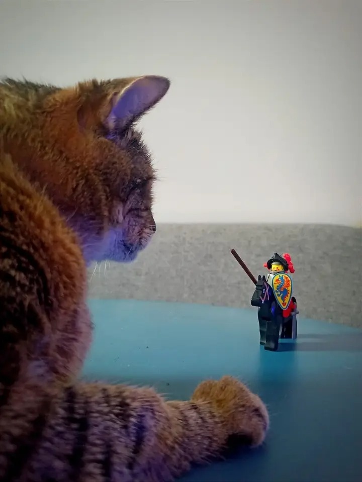 9c1a74d7-2e5a-4da8-a916-5c12a44e0fe9