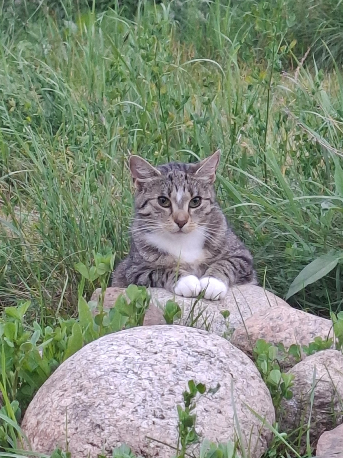 1ec6e156-178b-4899-8f1e-ddf42c4ffa1b