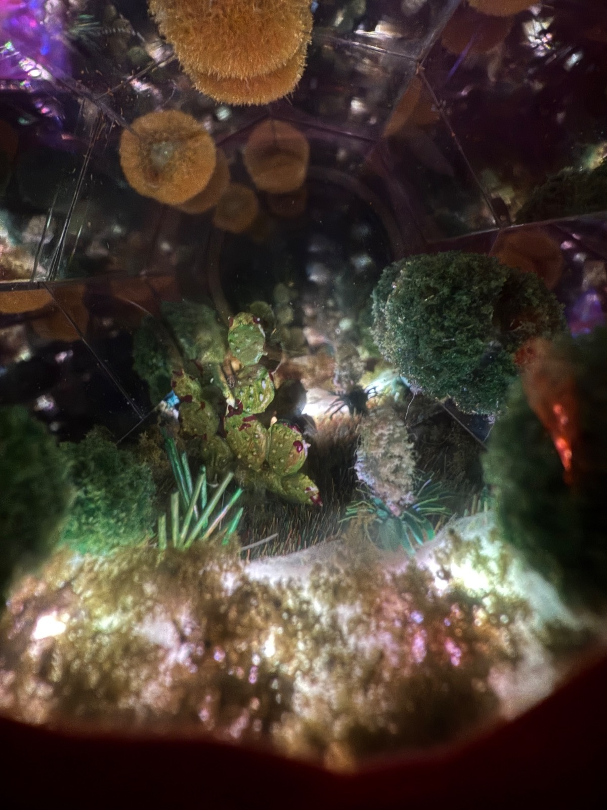 30fe439e-31ab-4e4e-b0ef-98593cf2f588