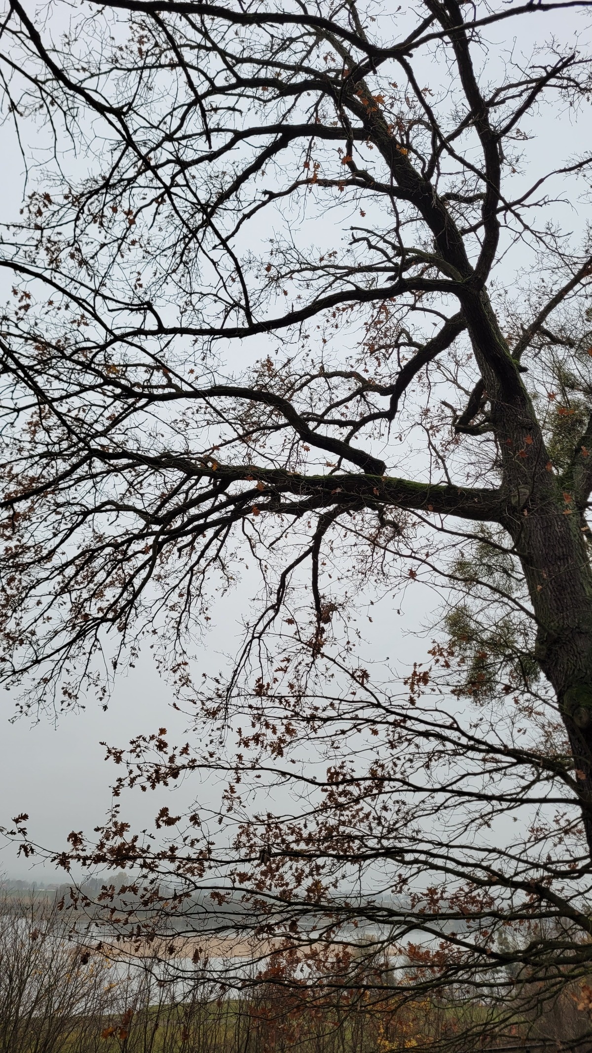 89db5cf7-8142-4310-9eb1-c720575b7417