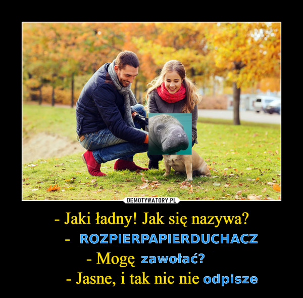 a7d9c0ee-bfe5-4086-9cc3-3a9344b4e84f