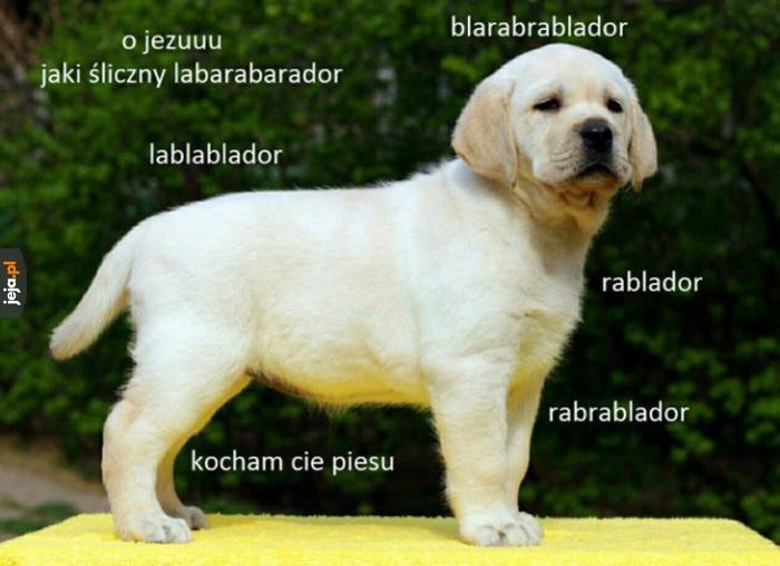 e6364a32-d8fb-4c08-a590-9451ca48183c