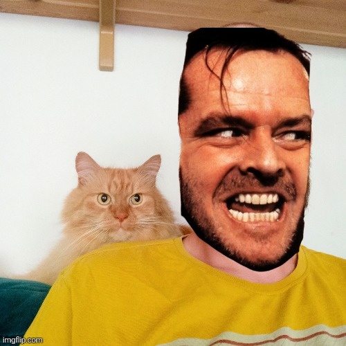 b7897a0c-625a-4f4d-b14e-02816c1b06da