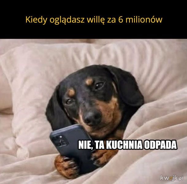 89a200de-b8dc-4509-84c8-c8282f8c55bd