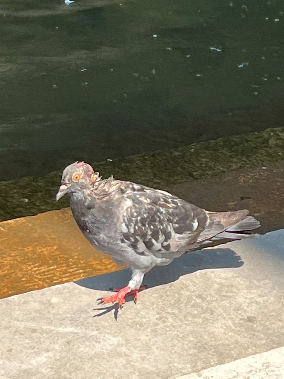 13237e85-0291-4432-a2b8-88f08214836f