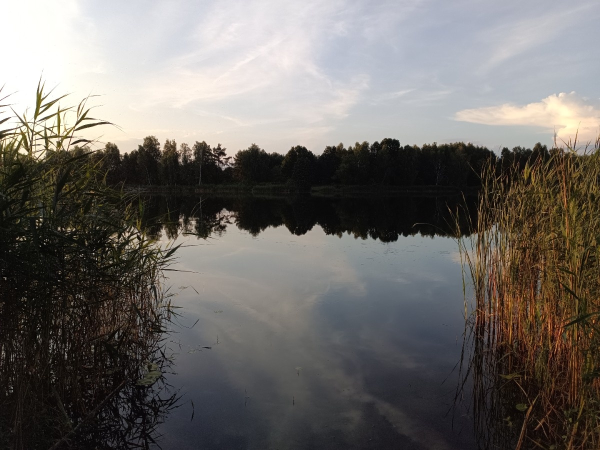 4f5582ac-07f7-4433-aca3-a44f3a306a9a