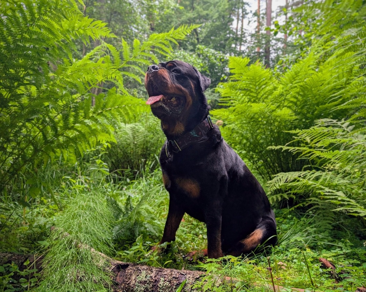 56b05cd7-d4c1-4951-bc73-4383001c4dab