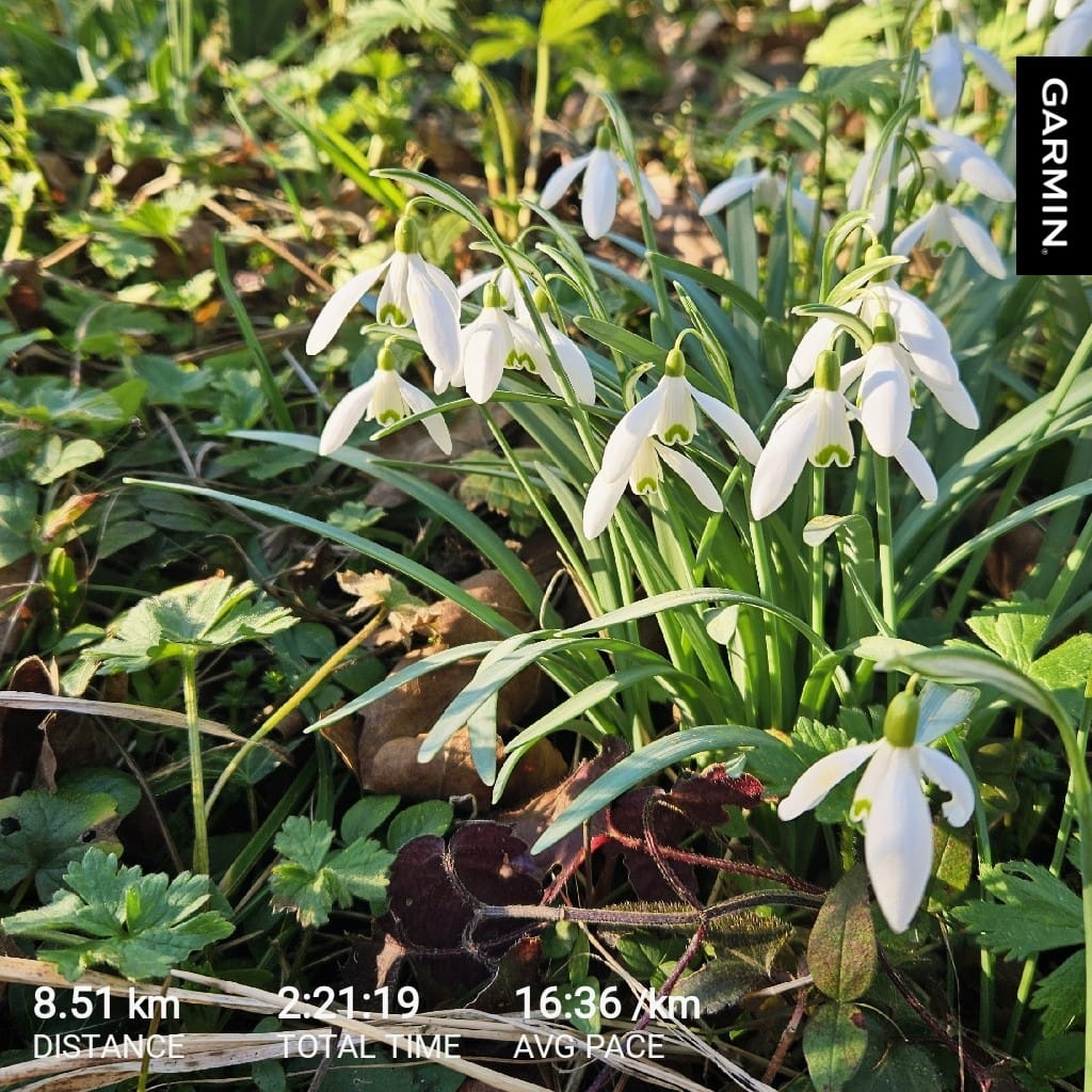 c97e9453-918e-44aa-b051-3a480caaa1df