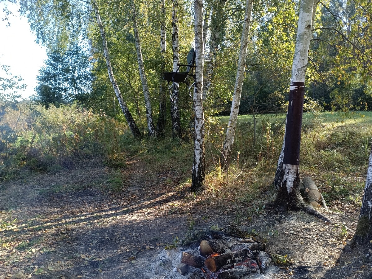 de7a0810-6221-4882-a25c-7a120257dff8