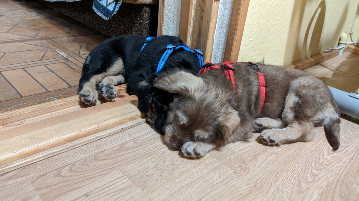 9dbc16a1-9762-49dc-932e-bf7cb9927008