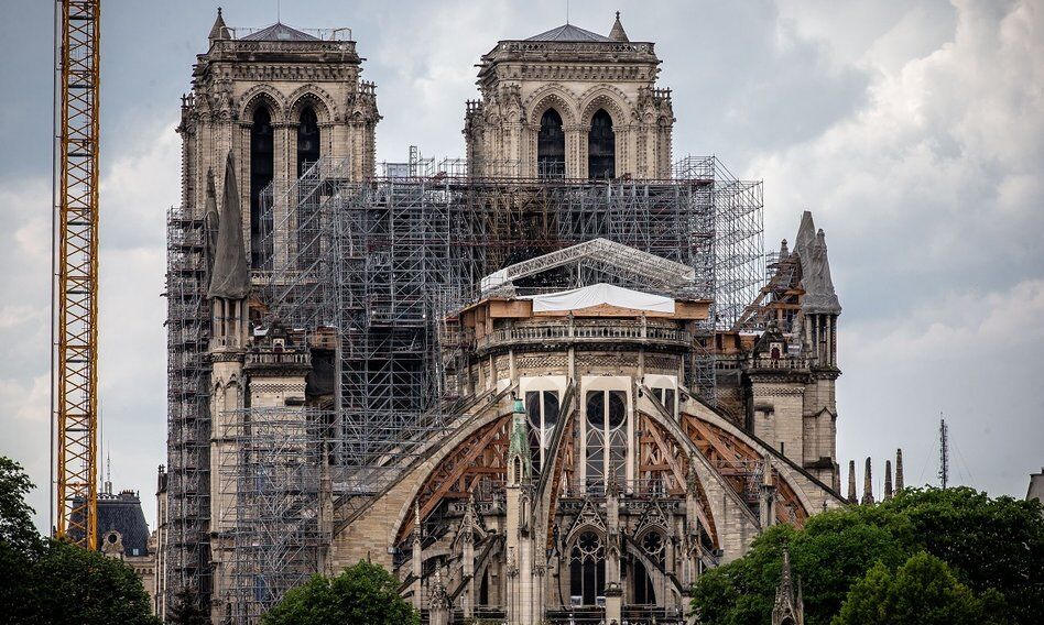 Wyselekcjonowano dęby przeznaczone na odbudowę katedry Notre Dame. Wartość każdego to kilkanaście tys. euro