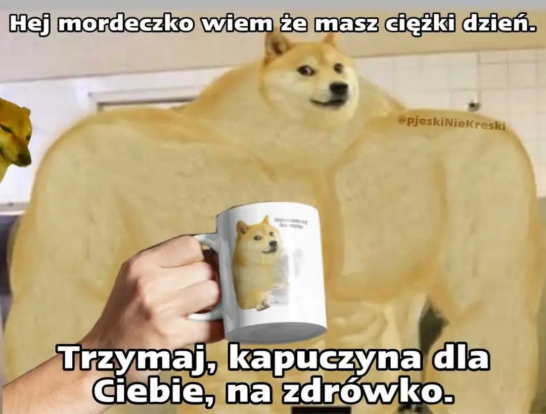 97ff7d7e-98ce-4d5f-b4ae-6656251efb6d