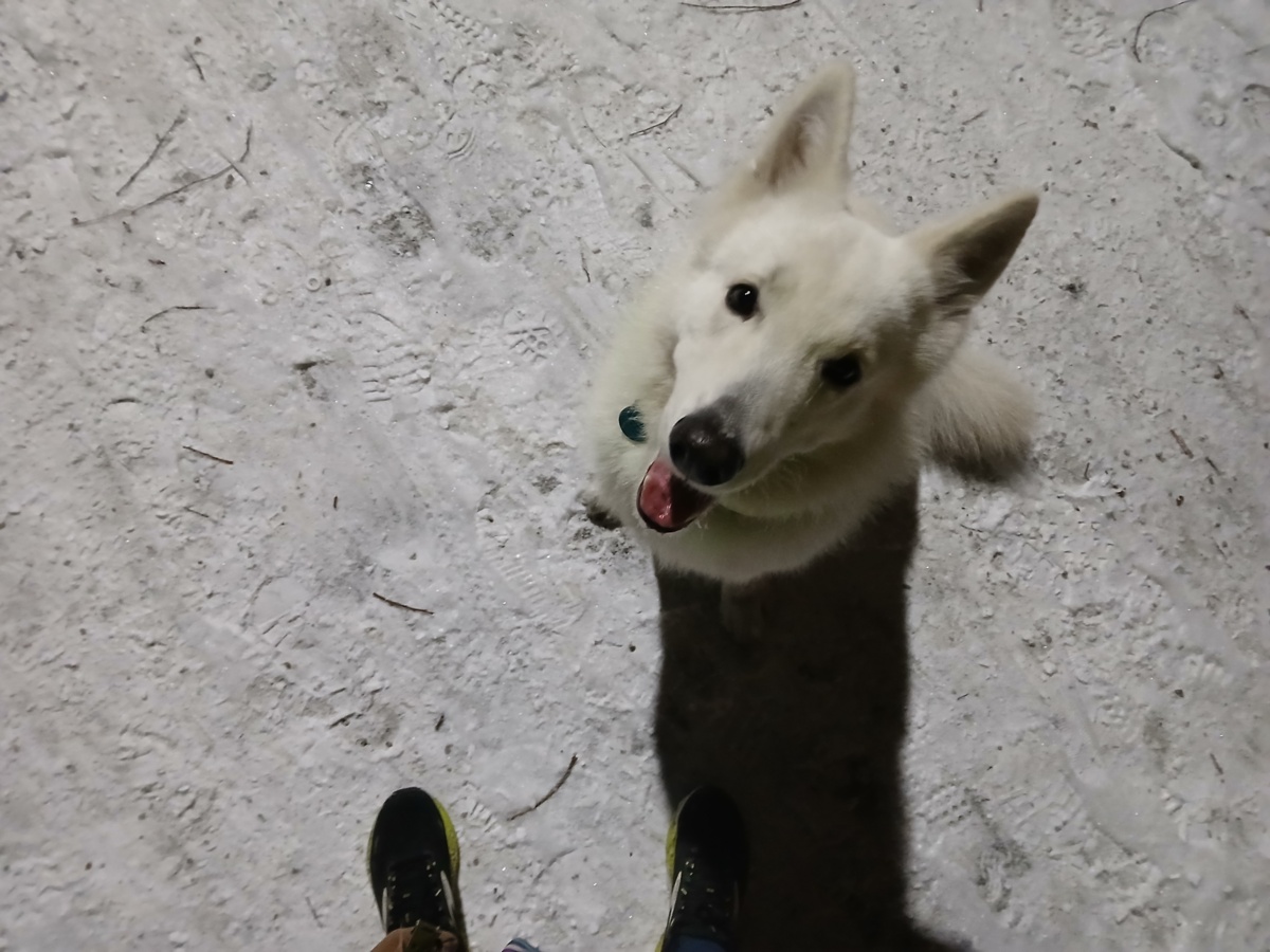 74b7bbb1-eb4b-46ad-a0bb-b381534c3b7a