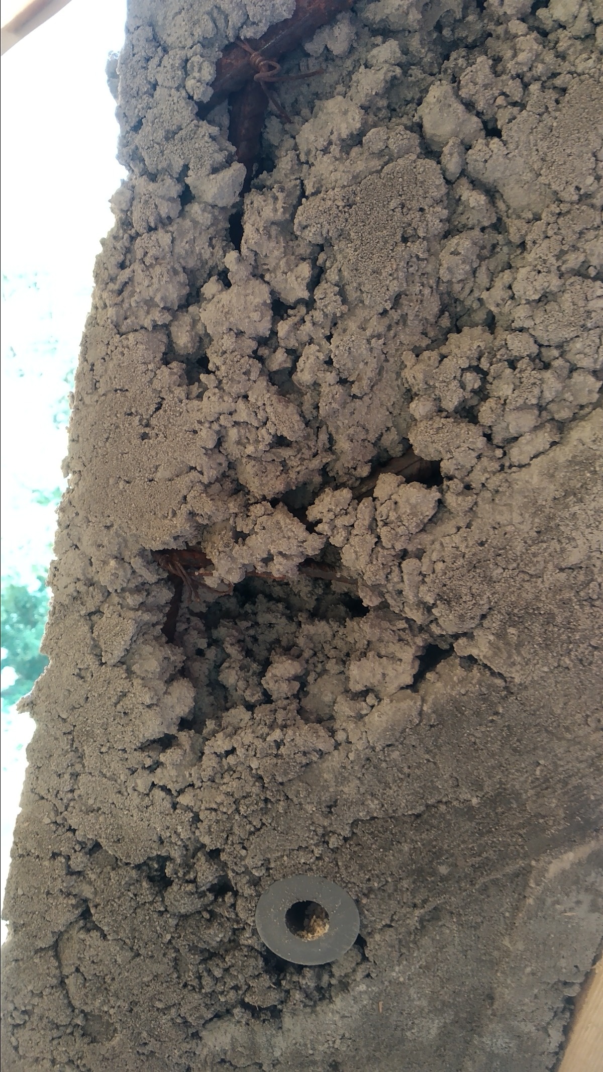 f8edca29-87f6-43bc-824f-77f834073717