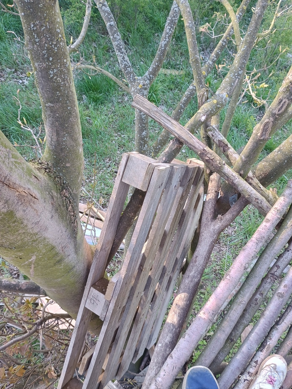 49ded5f6-696b-4bb2-b402-0610c14eaf97