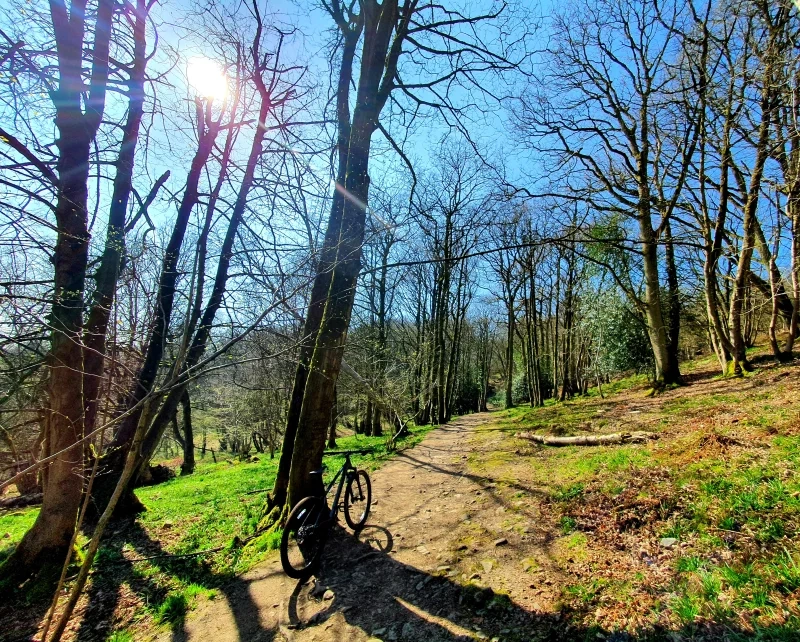 1c1f55d1-7164-45ce-956a-eb649cea8e07