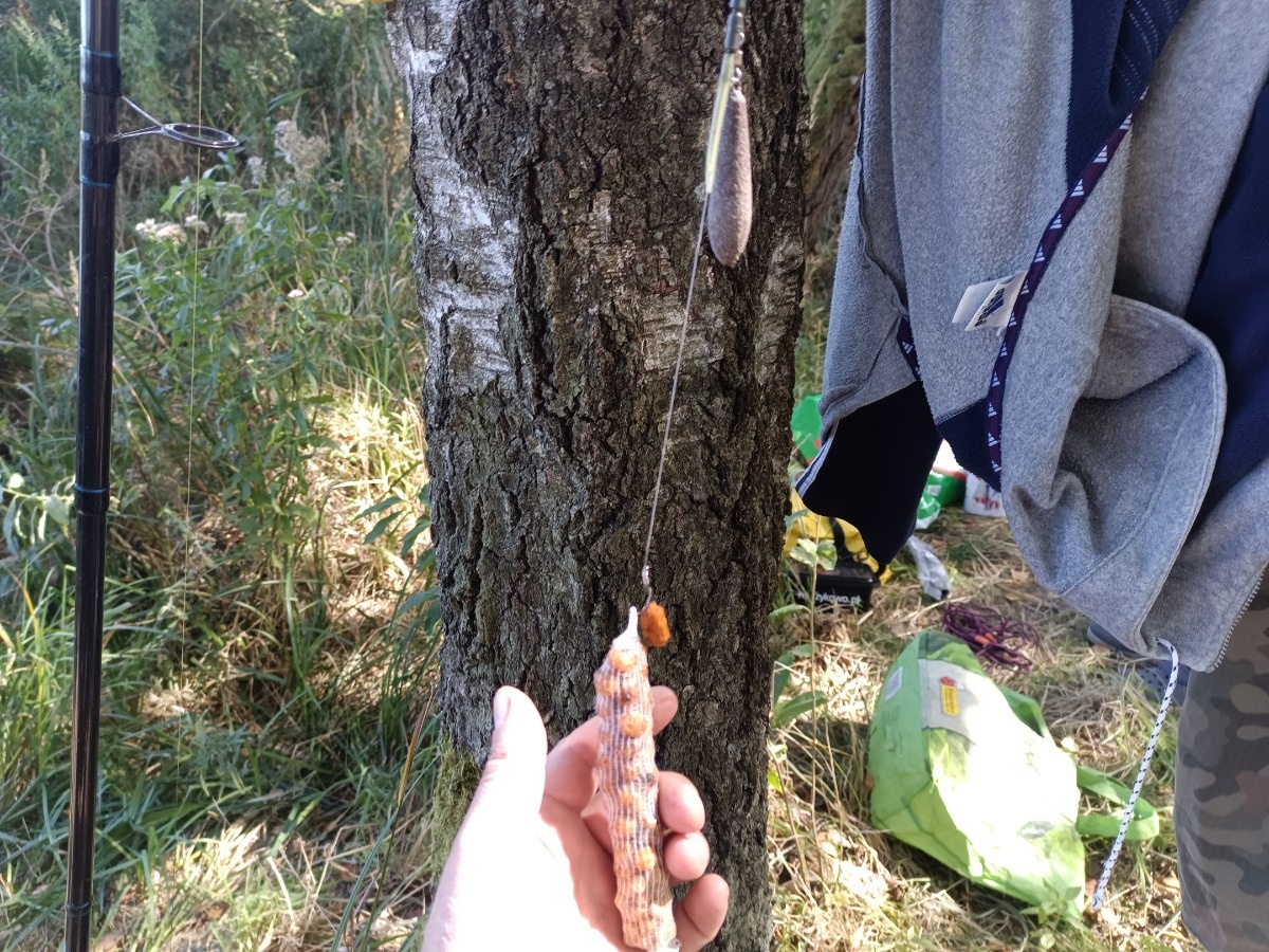 961ce12b-9ebe-4e17-a3ed-fb96828c002f