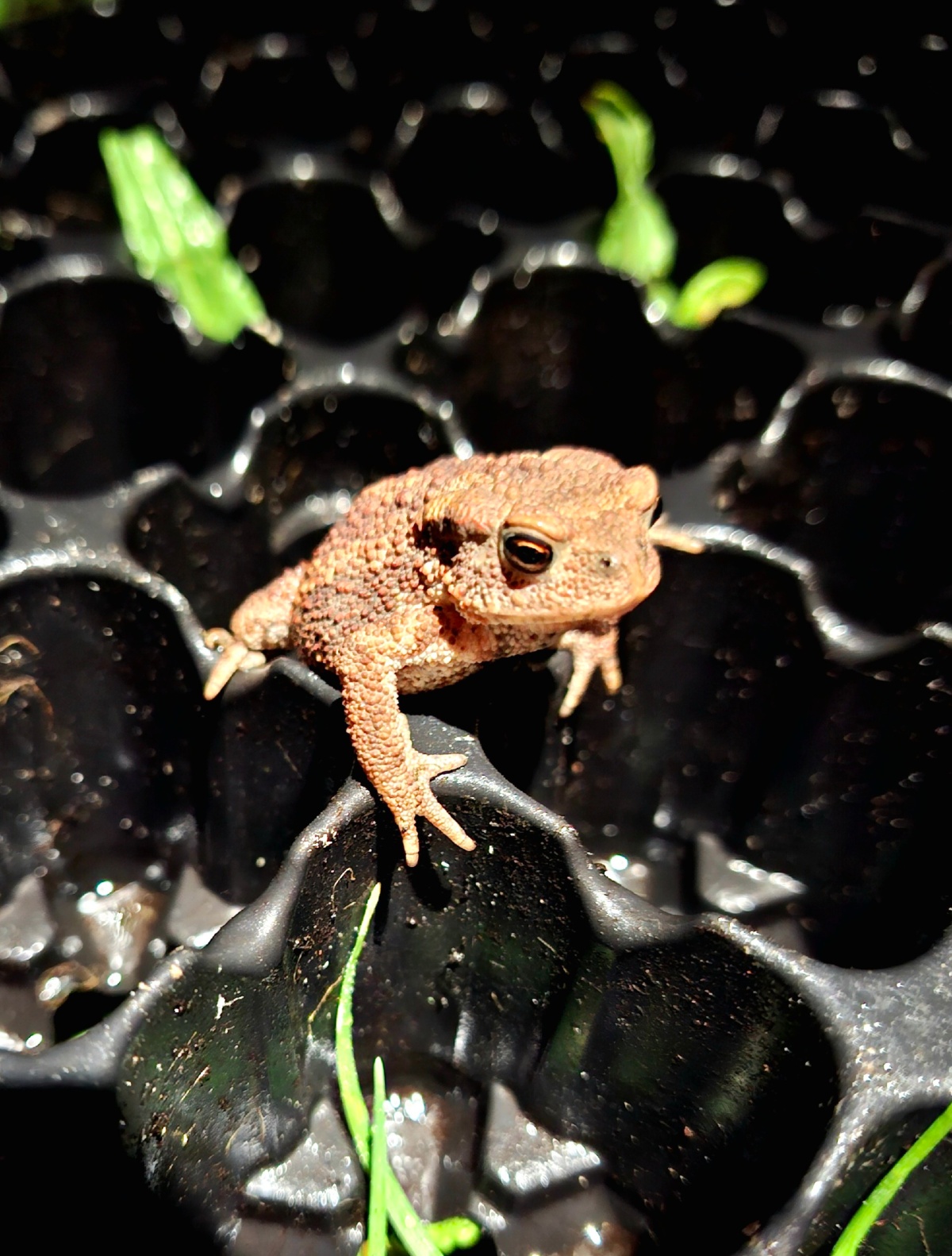 a16e96c7-e71a-47eb-b872-0d6cc0ad84fb