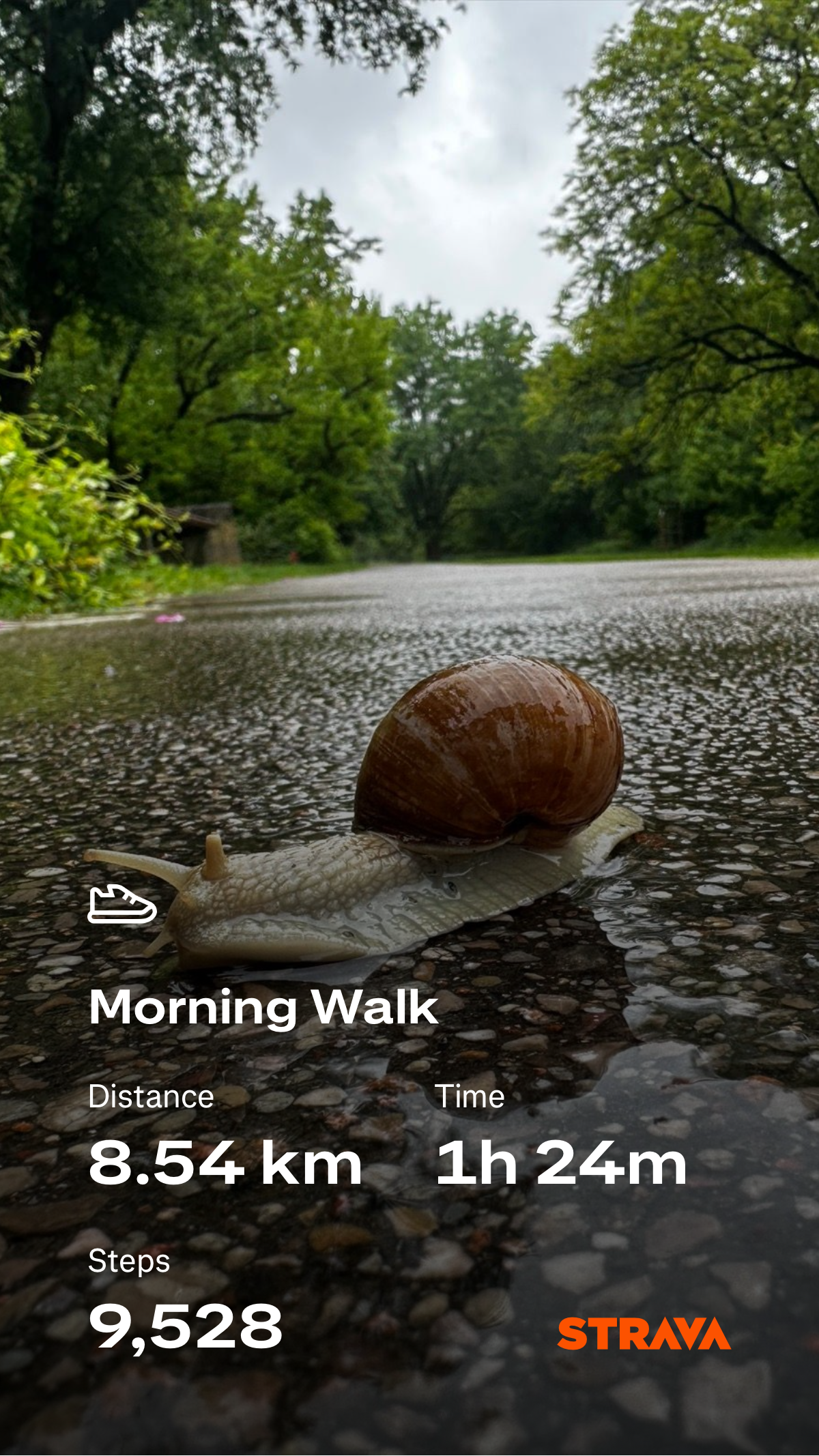 62efe28c-bb89-41f8-8cd4-c2b546e1f6eb