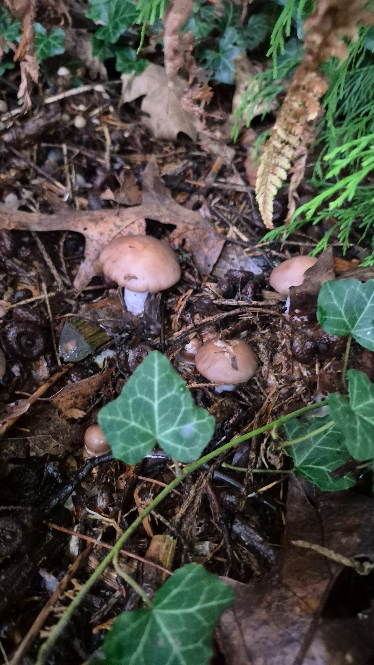 73d62601-d2a0-415a-a521-6e92dc179e09