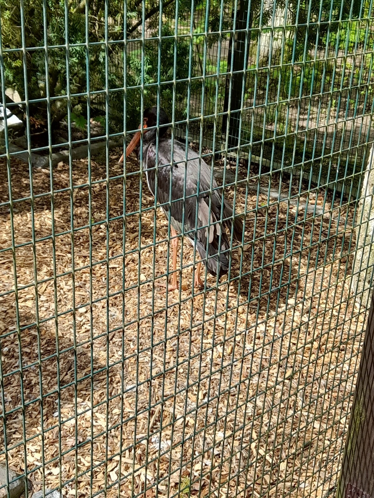 32d35218-24fe-4aab-926c-cb718a1b2ff2