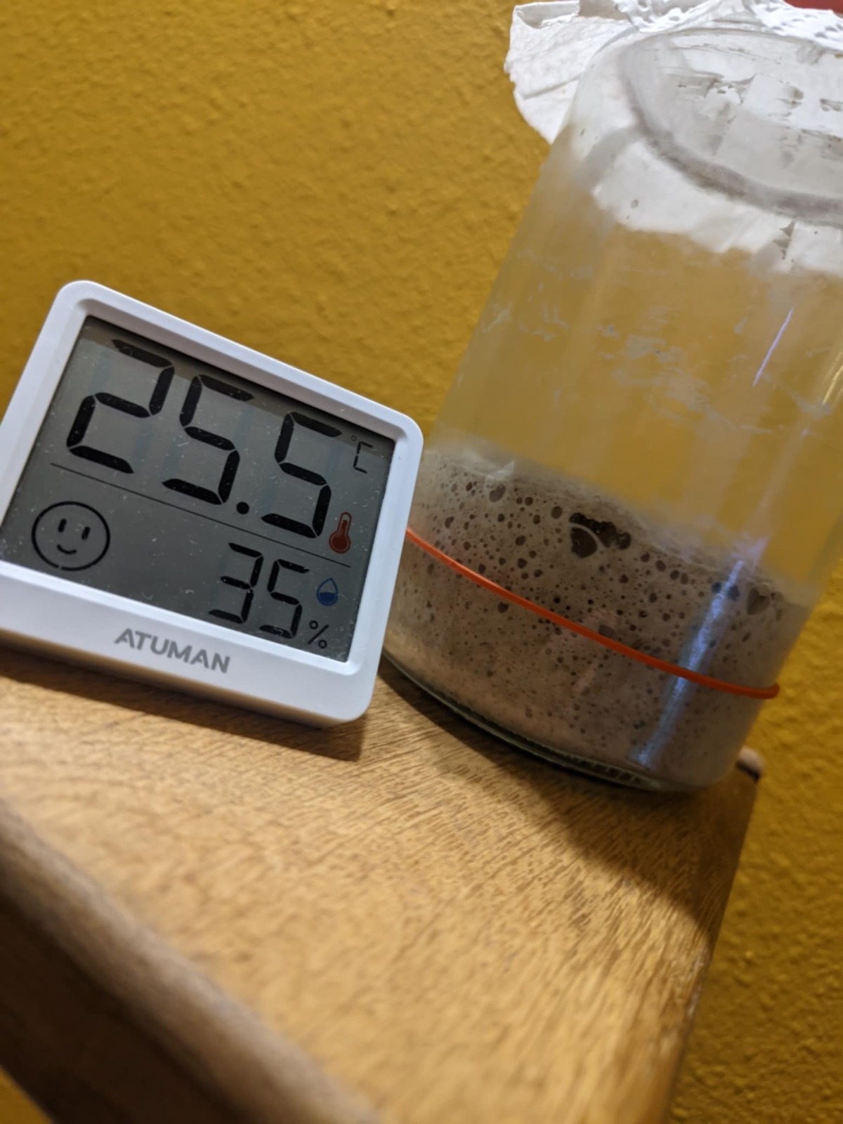 4203679a-d5a8-490b-b0ba-5f6b925270d8