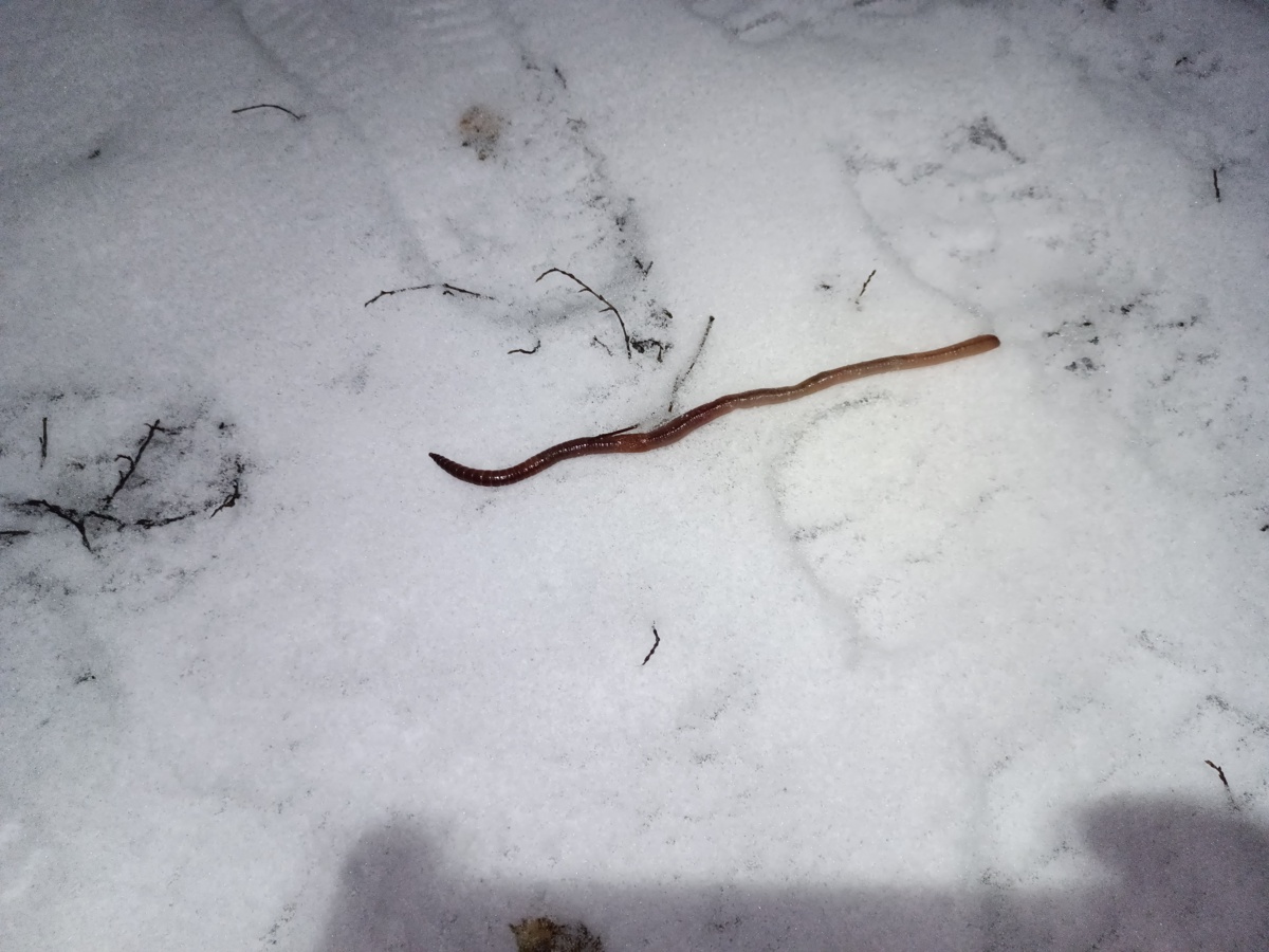 f515f5c7-8c0d-4b0a-9789-230e82ae7f50