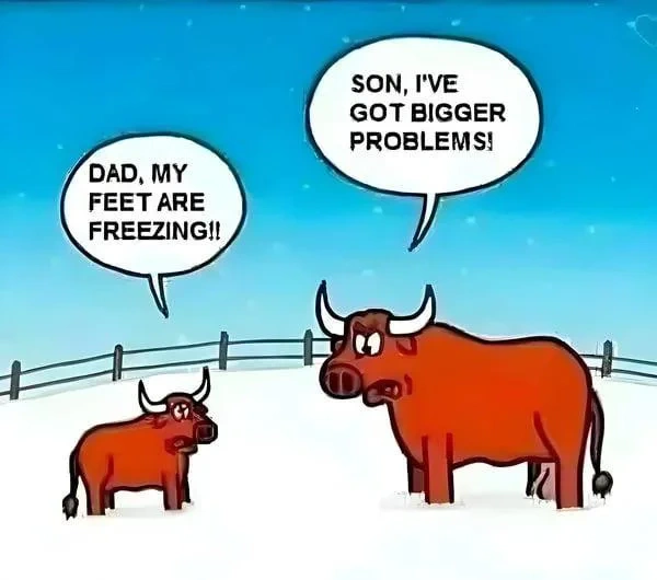 4cc226ce-56e9-454e-ba31-48d49a19a61e