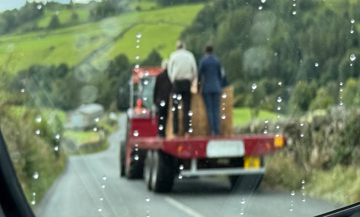 9574871f-da35-40fa-ad4a-1b82f7acd918