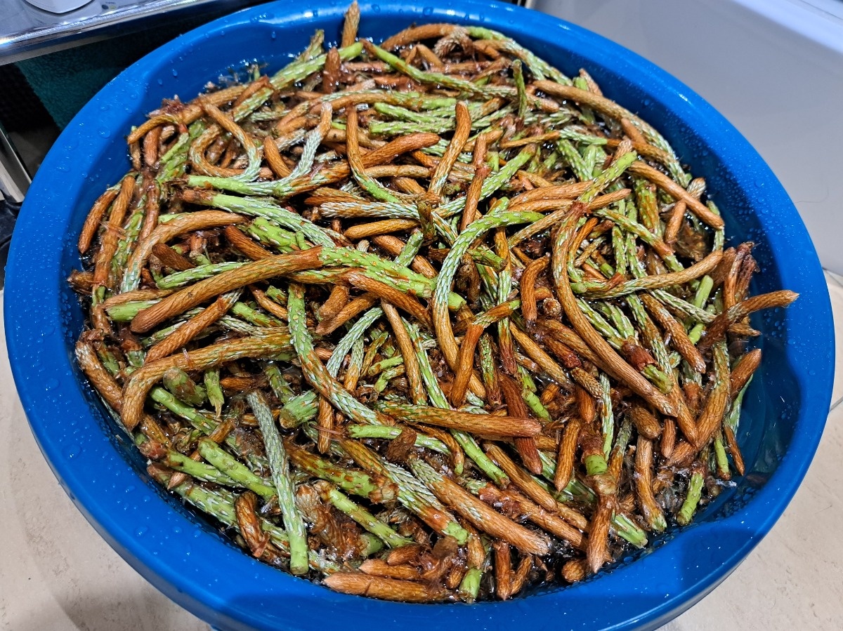 15c5f5fb-3b57-4dd2-9195-0a11a78f30b0