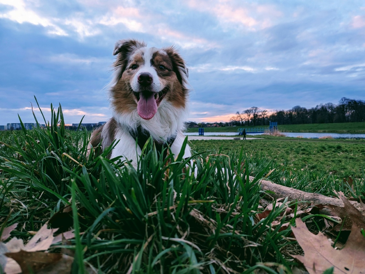 643f9a0e-379c-4ab5-9d8f-e4eb6c8a8353