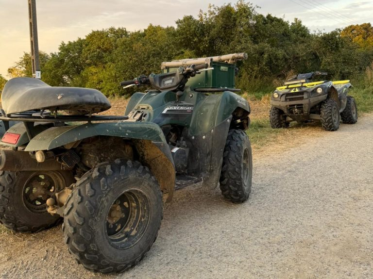 5e1da56e-af1a-4ab7-83ca-ffed83dbdb6a