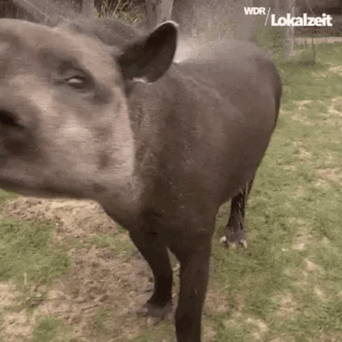 a42a36d5-a47f-44e9-b10b-219bf46d5200