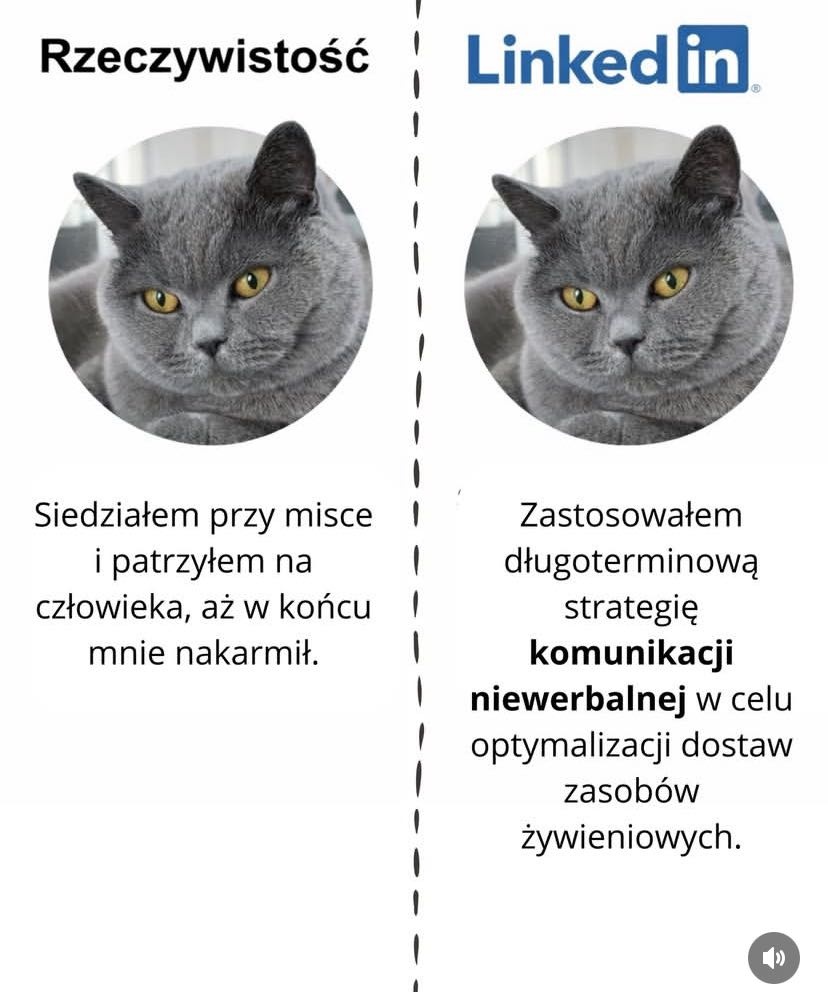 d2d886d1-01b1-40a8-9cff-abea919dcedc