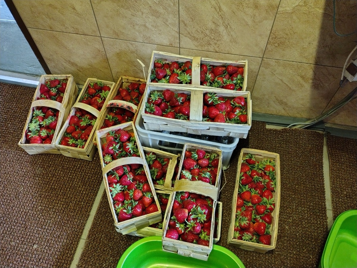 e7a38c76-e2f9-48d7-bb22-4f11aa11d6af