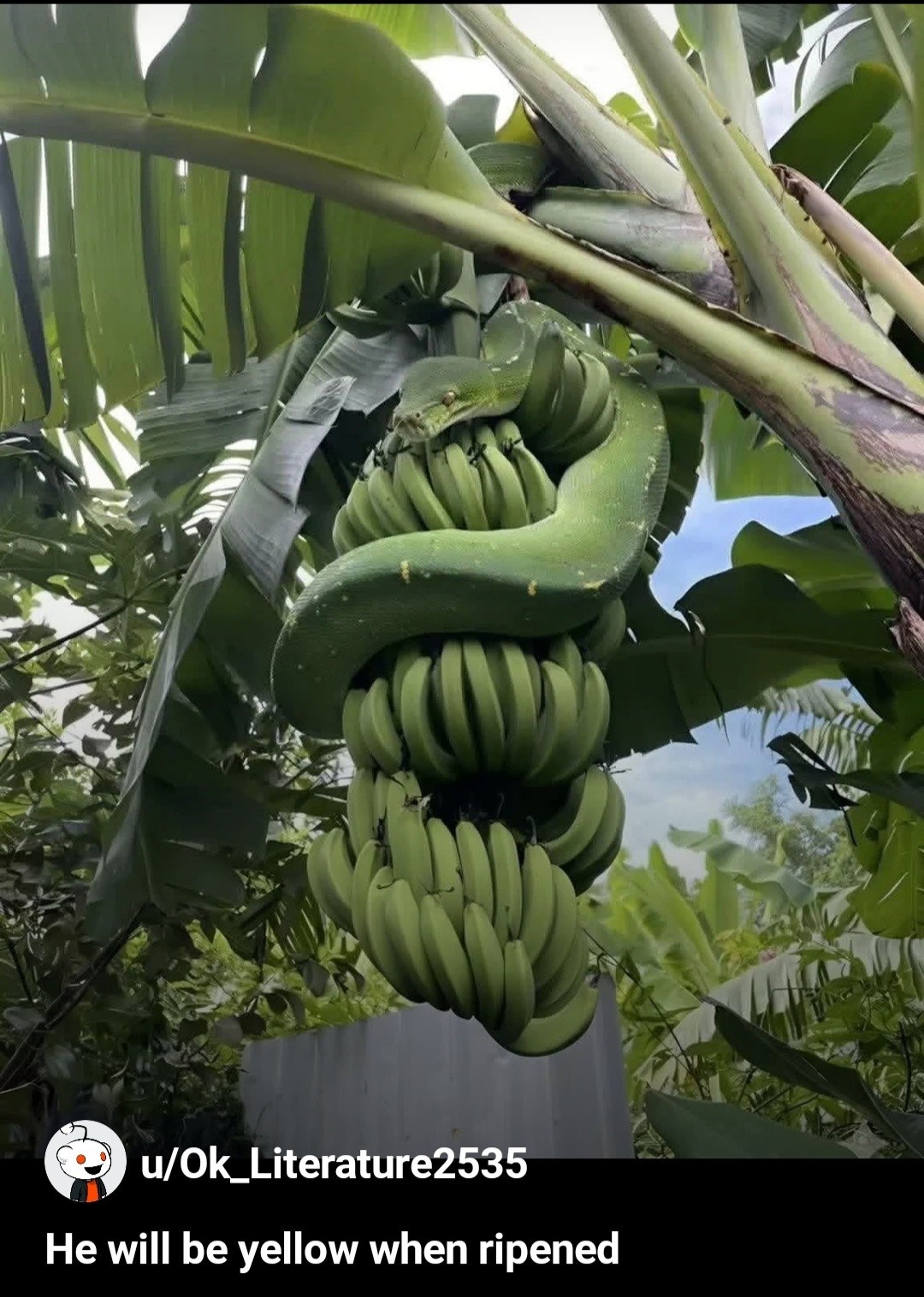 f8b611ea-7b0d-4036-af8a-90475880ca00