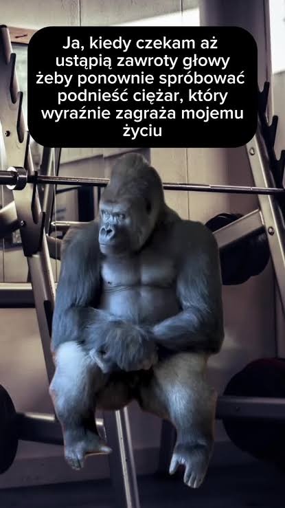 645ede38-04af-4003-8047-39a69d46eded