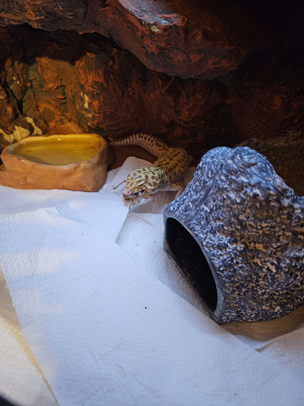 88f0e053-a2a5-46cc-86ad-97cdaec819e4