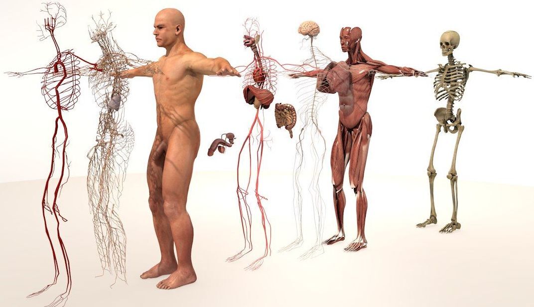 2c6a9b38-6a76-461c-a9ff-22366b3b0c02