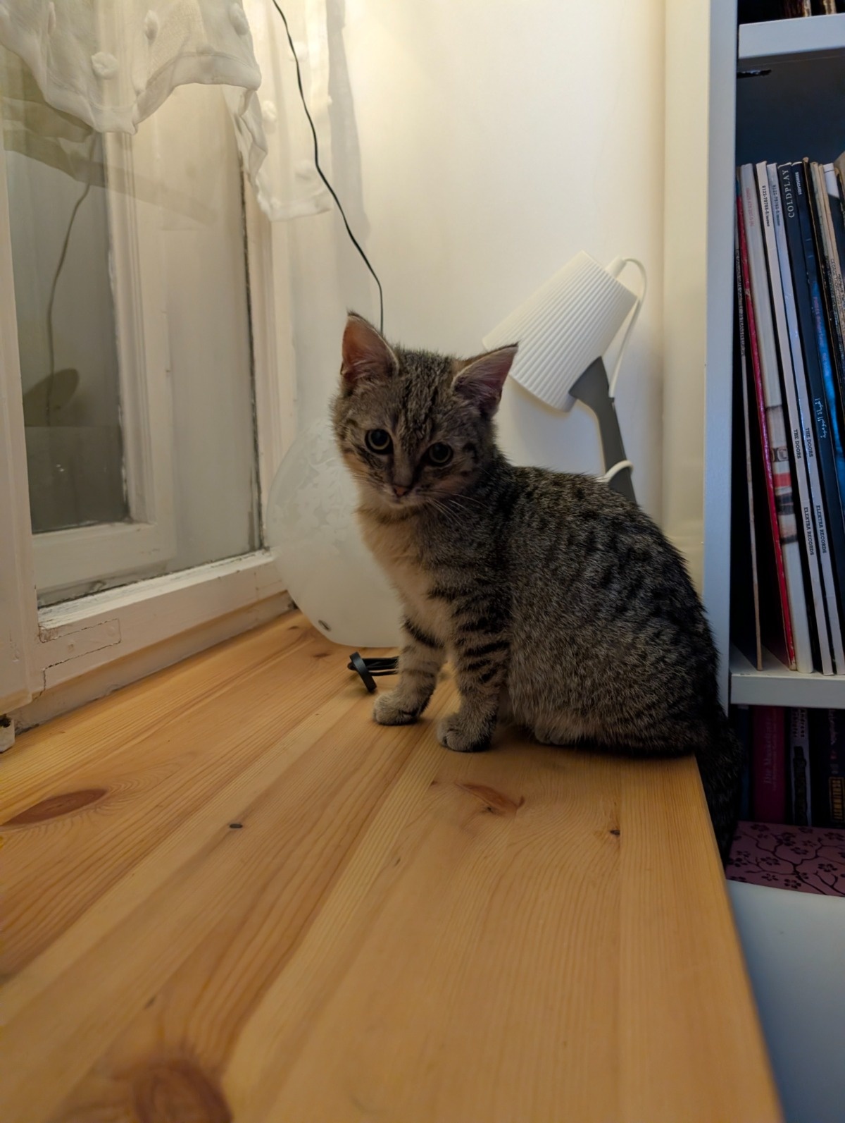 7e71348f-b919-4e70-bafa-320a208b0f2c