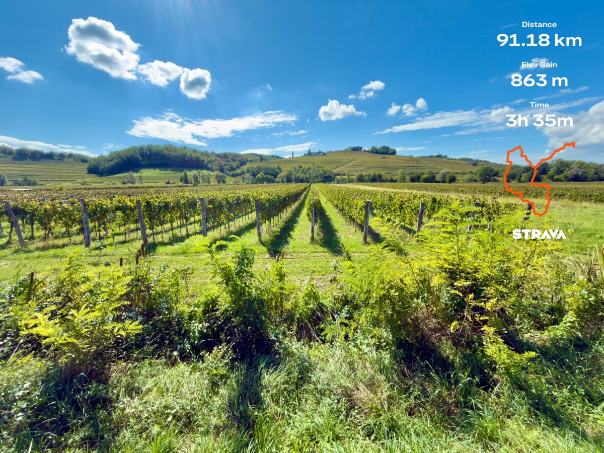 24cdb9f7-b833-48f7-ba5b-4e286f5a0d6e