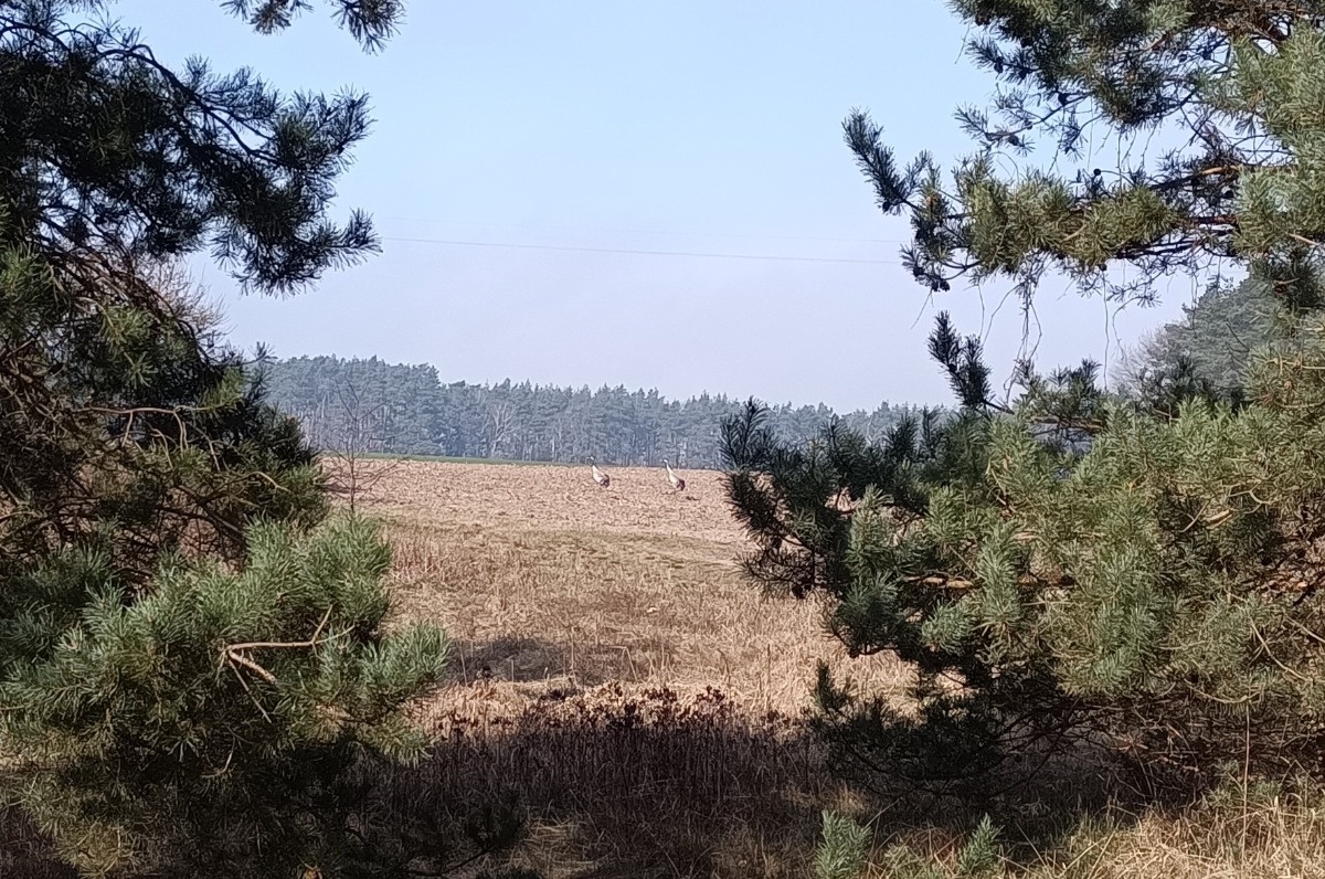 c1cfecbd-7ec0-4679-b731-471ac2bf33a5