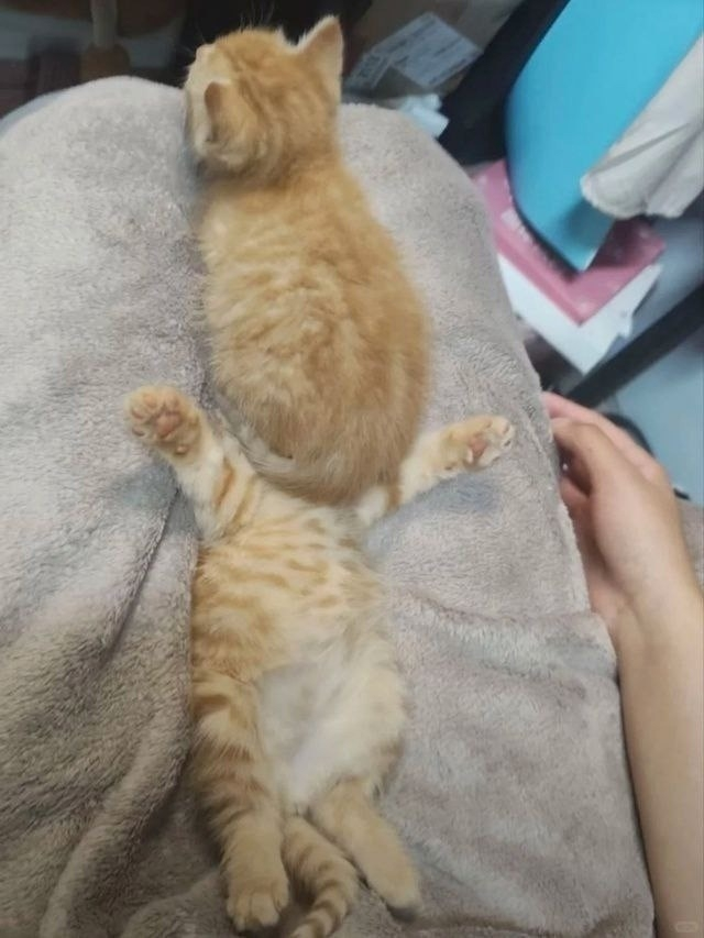 82898de1-653f-4c0e-a939-dee11b18e59d